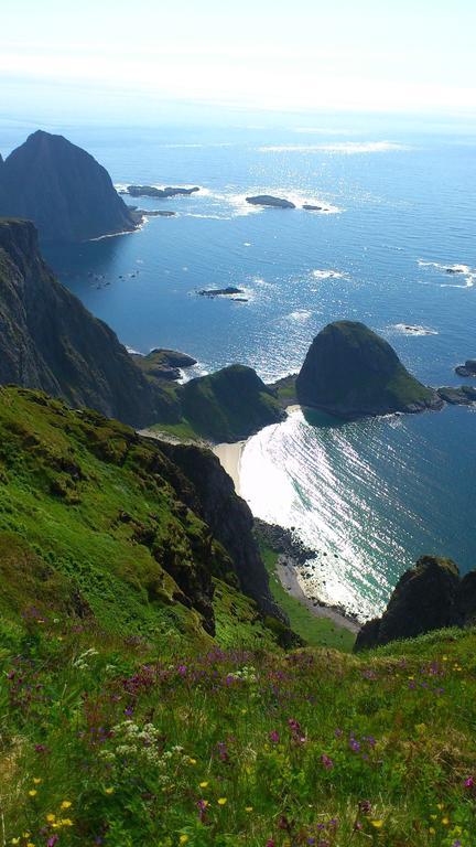 Lofoten Resort Sørvågen エクステリア 写真